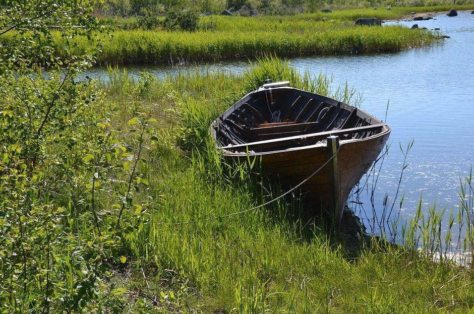 Mallien suojaus Suomessa -kuvituskuva